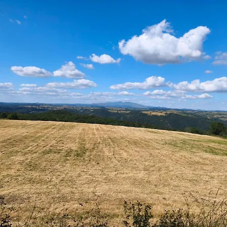La Borie De Pourtou Gentiane Daire Condat (Cantal)